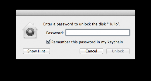 disk unlock password message